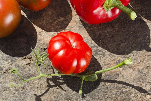 Red ripe tomatoes — Stock Photo, Image