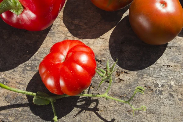 Red ripe tomatoes — Stock Photo, Image