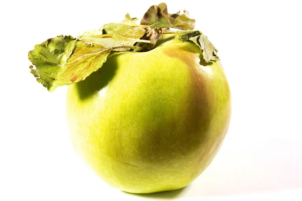 Fresh green apple — Stock Photo, Image