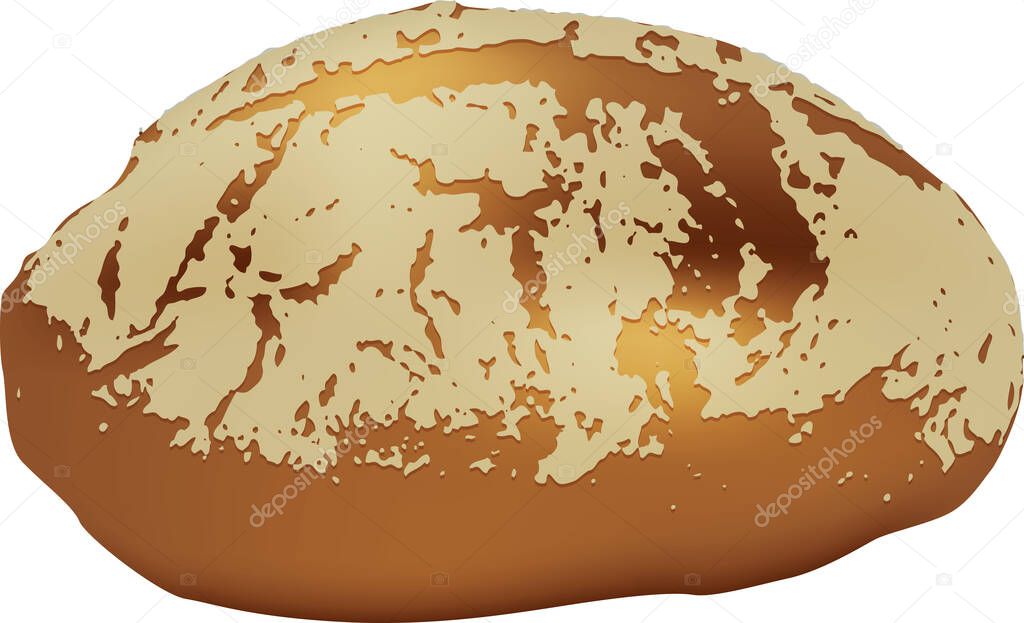 Homemade round bread in a standard size. Vector illustration.