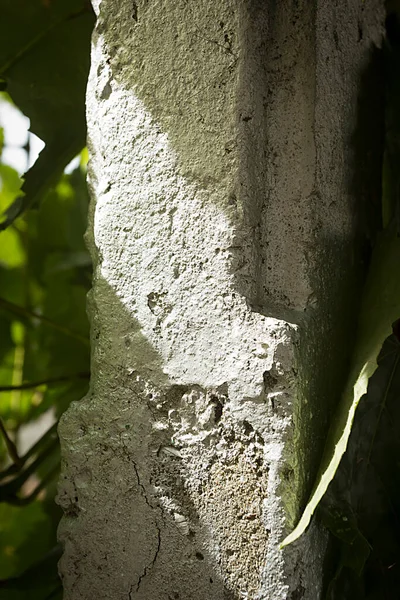 Suporte Sob Forma Uma Estrutura Concreto Armado — Fotografia de Stock