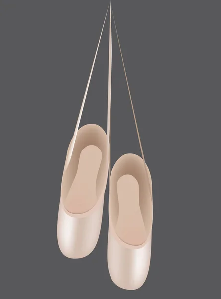 Chaussures Professionnelles Pour Ballet Pantoufles Ballet Pointes — Image vectorielle