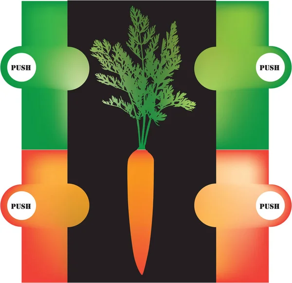 Параметры Выбора Цвета Иллюстрации Моркови Верхушки Корень — стоковый вектор