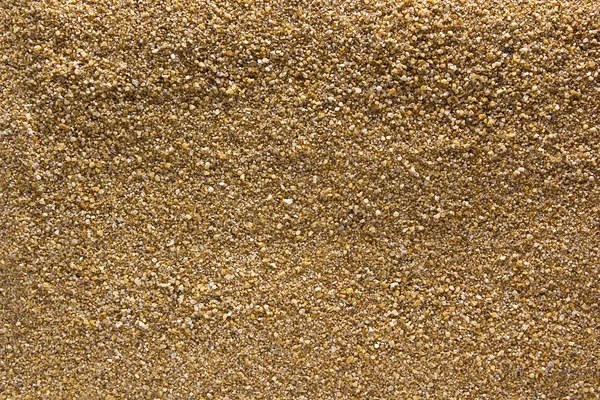 Glad oppervlak grof zand — Stockfoto