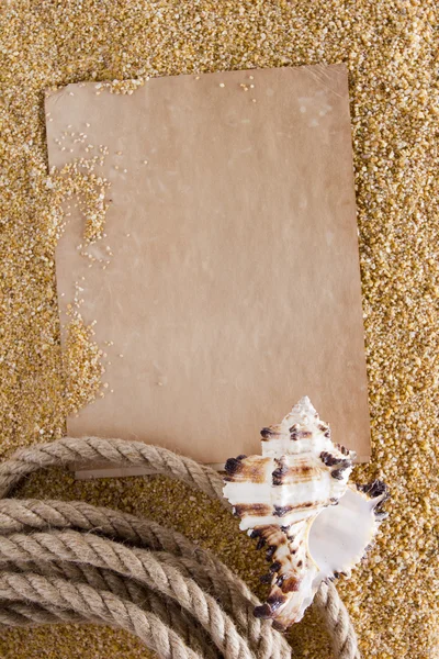 Κέλυφος ωκεανό στην άμμο — Φωτογραφία Αρχείου