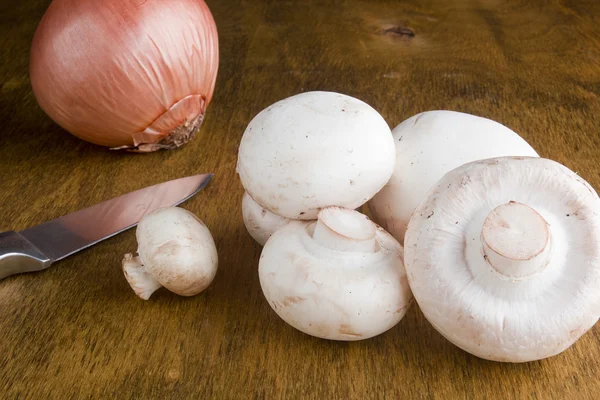 Agaricus - houby se používají jako přísada — Stock fotografie