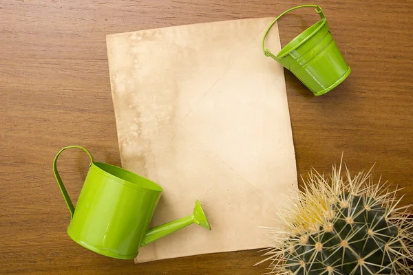 Care home with cactus plants — Stock Photo, Image