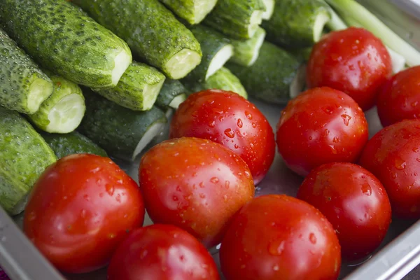 Tomates e pepinos recém-lavados — Fotografia de Stock