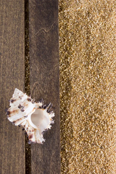 Hintergrund mit Sand am Strand — Stockfoto