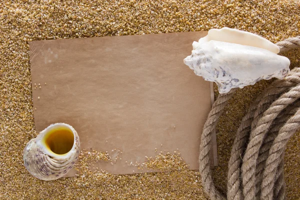 Ocean shell på sanden — Stockfoto