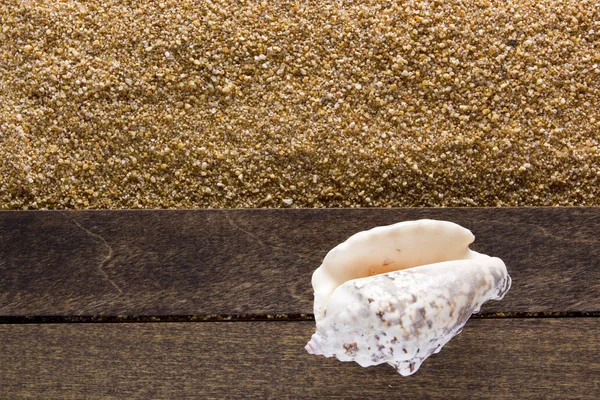 Background with beach sand — Stock Photo, Image