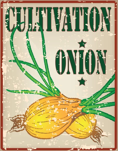Cultivo de cebolla — Archivo Imágenes Vectoriales
