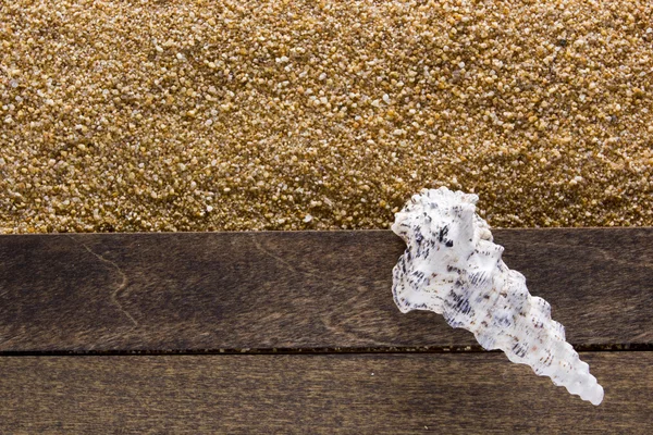 Background with beach sand — Stock Photo, Image