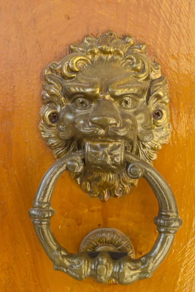 一只狮子的形式装饰门环 — 图库照片