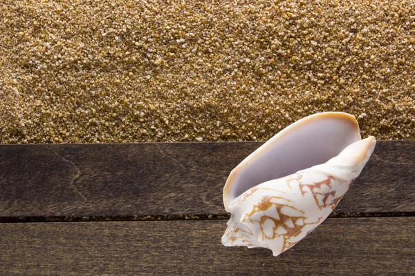 Bakgrund med sandstrand — Stockfoto