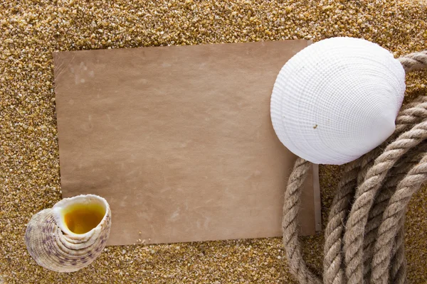 Ocean shell on the sand — Stock Photo, Image