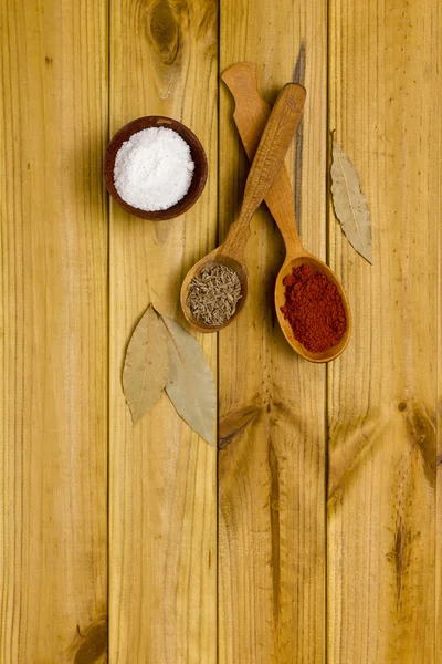 Μπαχαρικά και αλάτι σε ένα ξύλινο αναδευτήρα — Φωτογραφία Αρχείου