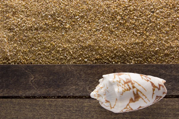 Background with beach sand — Stock Photo, Image