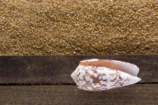 Background with beach sand — Stock Photo, Image