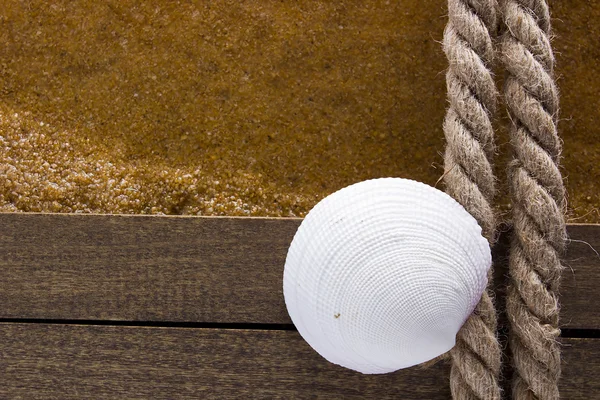 Concha a borda da água em uma plataforma de madeira — Fotografia de Stock