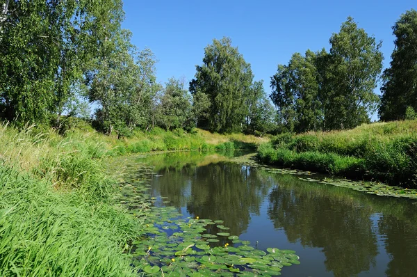 Malá řeka v létě — Stock fotografie