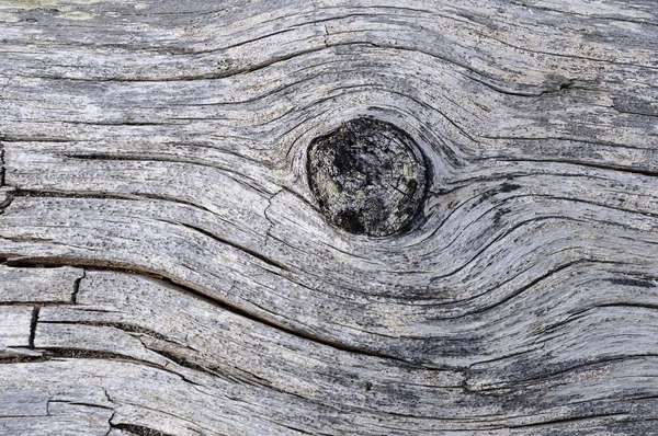 Texture of old weathered log — Stock Photo, Image