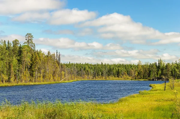 Klein bos meer in Karelië — Stockfoto