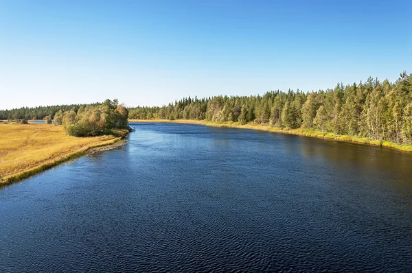 Onda River w Karelii, czas letni — Zdjęcie stockowe