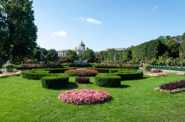 Çiçek yatağı, Viyana Volksgarten 'de yeşil çimen (Halk Bahçesi), güneşli yaz günü