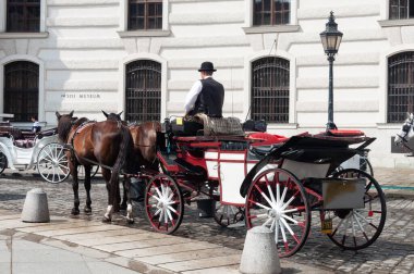 Viyana, Avusturya - 31 Temmuz 2019: Viyana 'da turizm için geleneksel araç