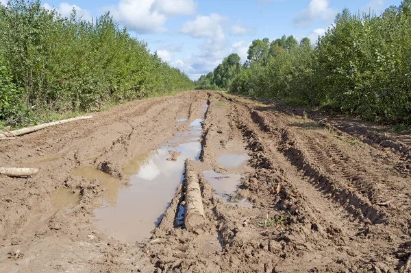 Feldweg mit Schlamm und großen Pfützen — Stockfoto