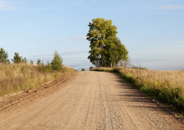 Sandy country road — Stock Photo, Image