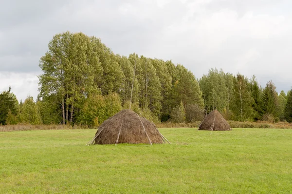 haystacks bir çayır üzerinde