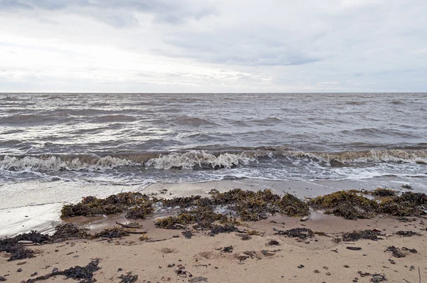 Côte de la mer Blanche, ciel nuageux — Photo