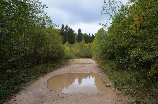 Estrada de terra com lama e grandes poças após a chuva — Fotografia de Stock