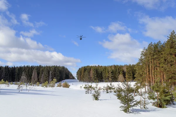 Helicóptero sobre uma grande clareira florestal — Fotografia de Stock