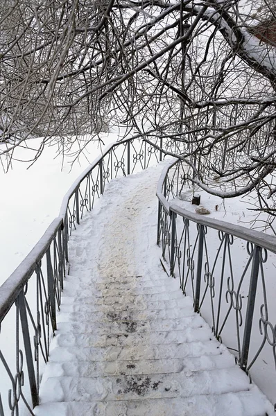 Snow-covered iron staircase with handrails — Stock Photo, Image