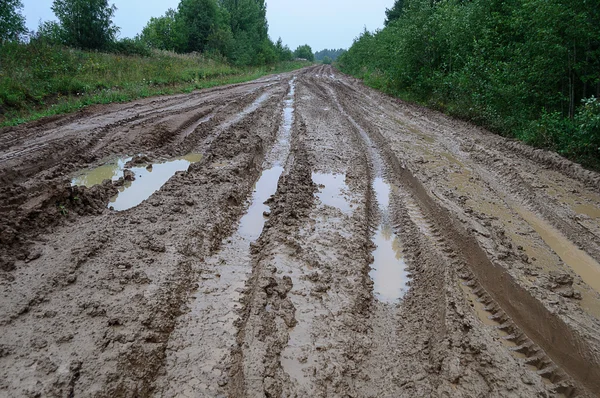 Strada sterrata rurale disordinato dopo la pioggia — Foto Stock