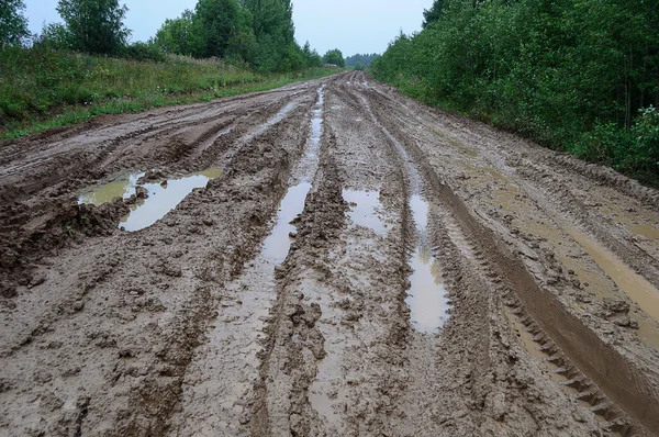 Desordenado camino de tierra rural después de la lluvia — Foto de Stock