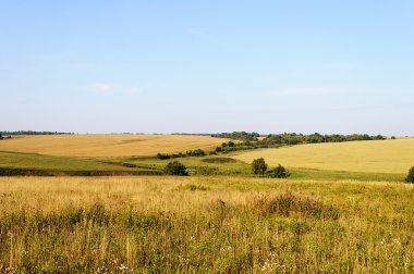 Alanlar ve tepelerde meadows