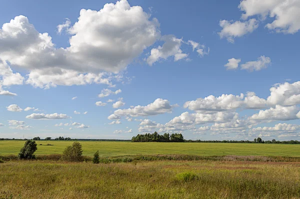 Grüne Wiese mit einigen Bäumen und Wolken am blauen Himmel — Stockfoto