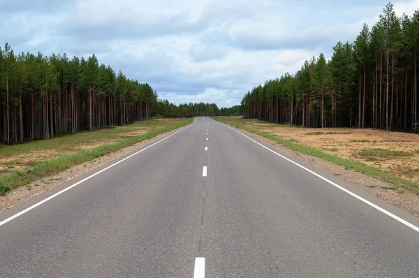Asphalt road through the forest — Stock Photo, Image