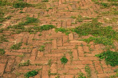 Old grassy brick footpath