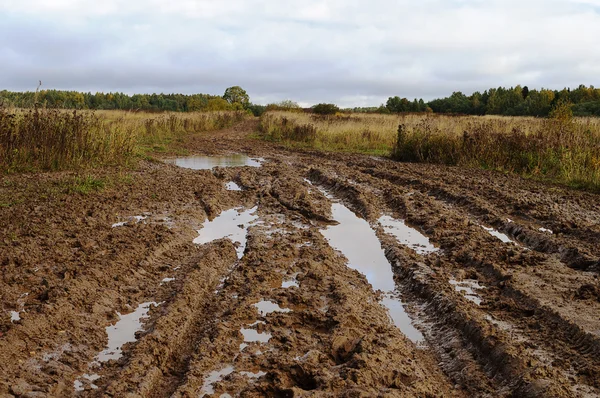 Strada sterrata rurale disordinata dopo la pioggia — Foto Stock