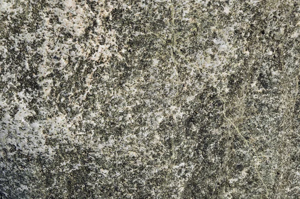 Cętkowany kamień tekstura — Zdjęcie stockowe