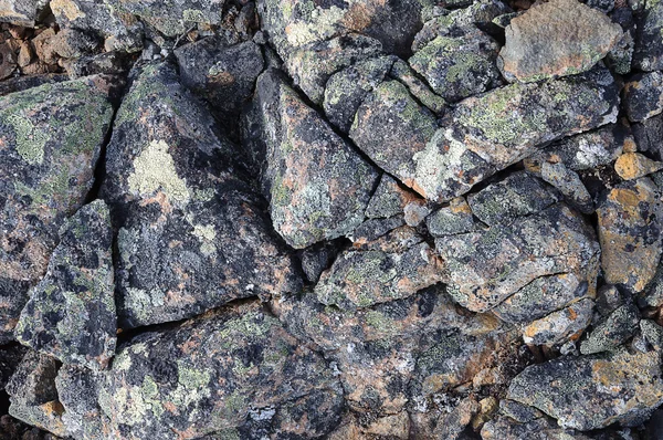 Superfície de pedra rachada coberta com líquenes — Fotografia de Stock