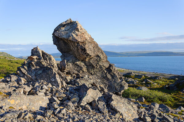 Summer tundra landscape with big stone on the seacoast