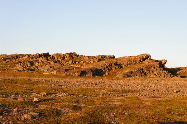 Letní krajina skalnaté tundry při západu slunce — Stock fotografie