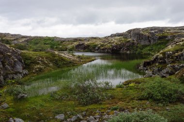 Küçük bir göl ile yaz Kuzey manzara