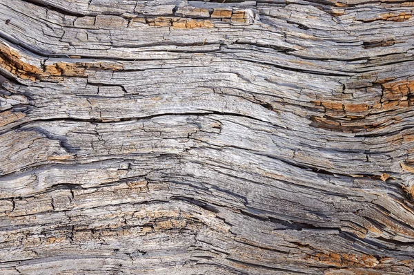 Fondo de madera podrida seca — Foto de Stock